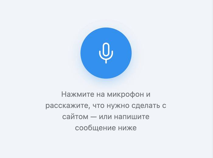 Экран голосового ввода: посетитель наговаривает сообщение о своём деле — демонстрация на демо-прогоне продукта